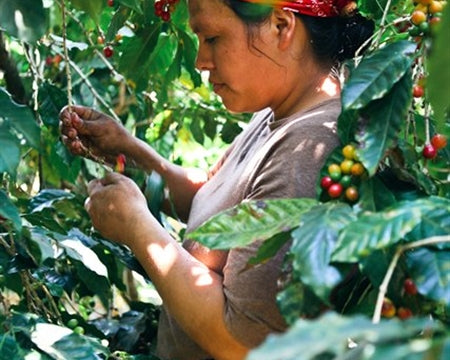 El Salvador