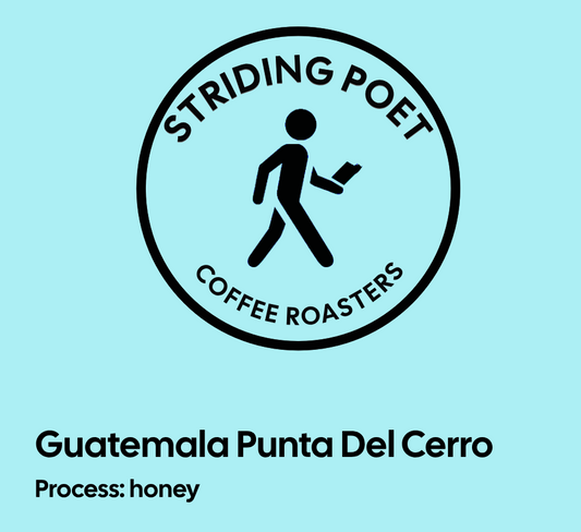 Guatemala Punta Del Cerro
